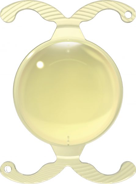 BVI_PodEye_Toric