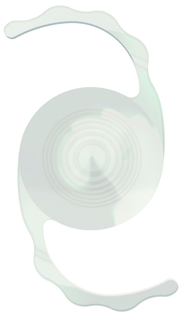 Rayner 02_sulco hi 0002